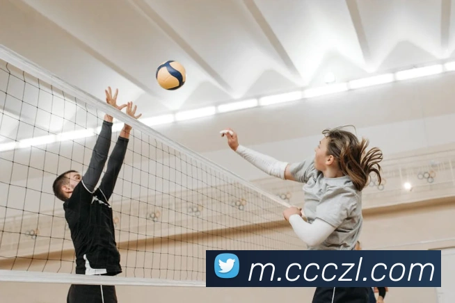 尊龙凯时服务体系